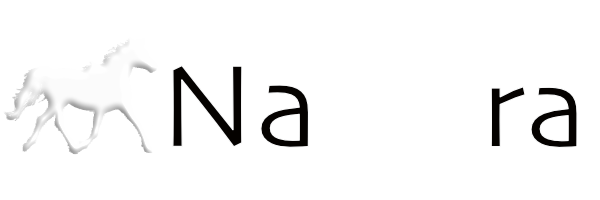 NaGGra Digital marketing Agency footer logo