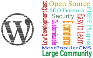 WordPress designs services page