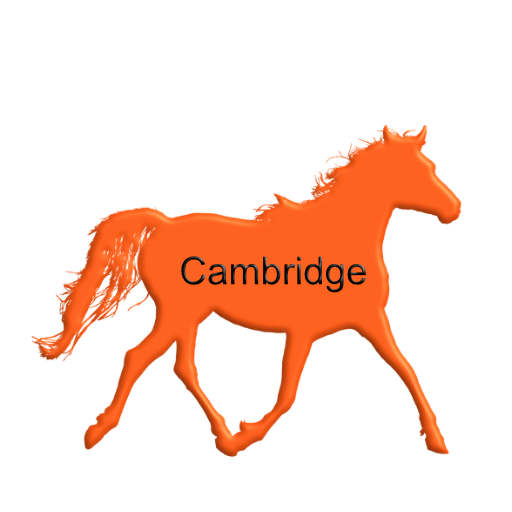 top professionals in Cambridge page