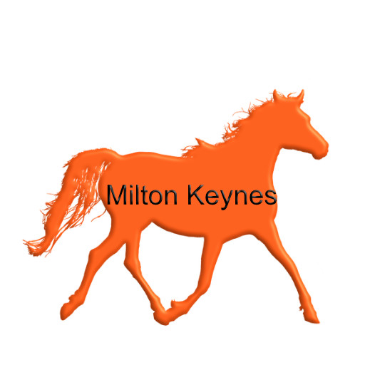 top professionals in Milton Keynes page
